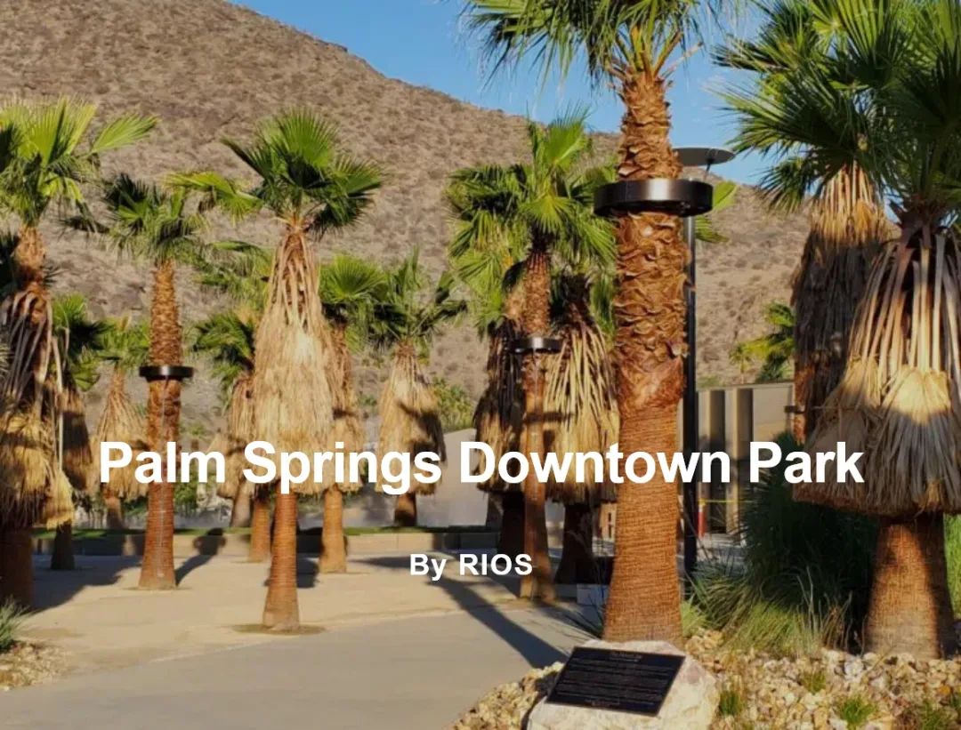 Palm Springs Downtown Park - RIOS